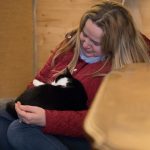 Kaffee, Kuchen, Katzen