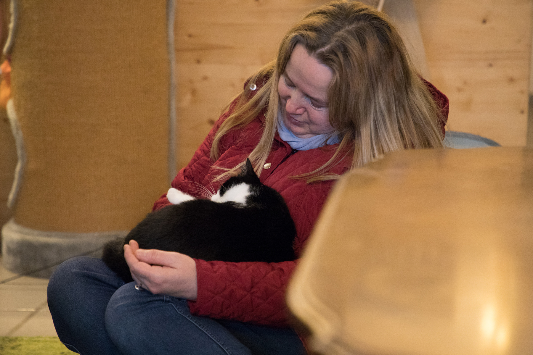 Kaffee, Kuchen, Katzen