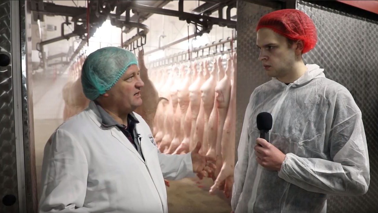 Vom Ferkel zum Filet