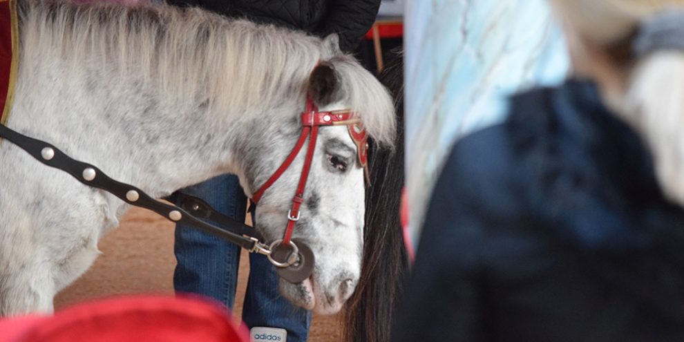 Kommentar: Ponykarussells