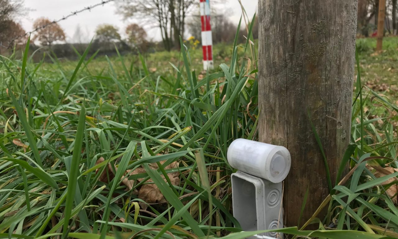 Live-Reportage: Geocaching