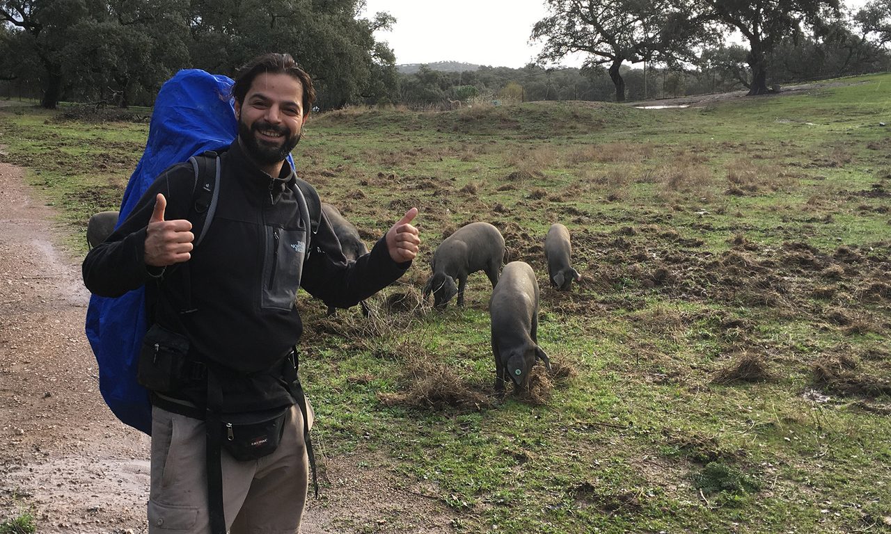 Pilgern wird immer beliebter: eine Möglichkeit der Selbstfindung