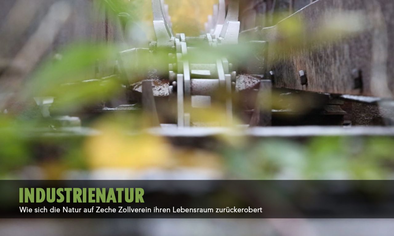 Industrienatur