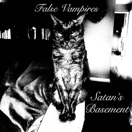 False Vampires: Zwischen Kellermusik und großen Visionen