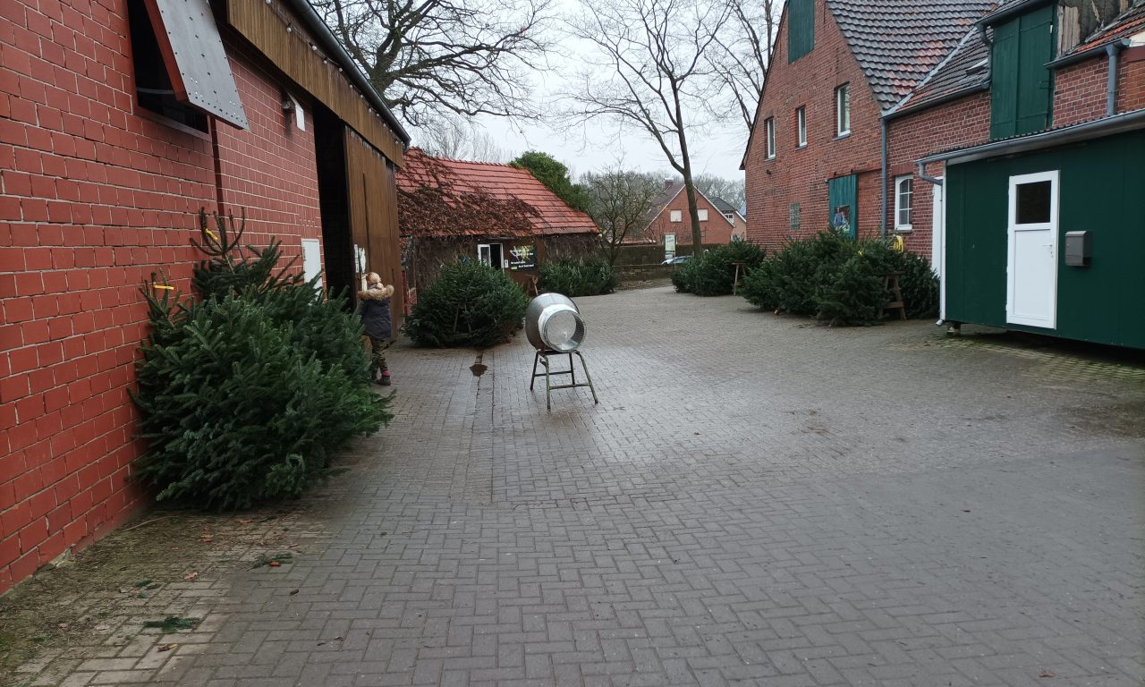 „Jeder soll den perfekten Baum finden“