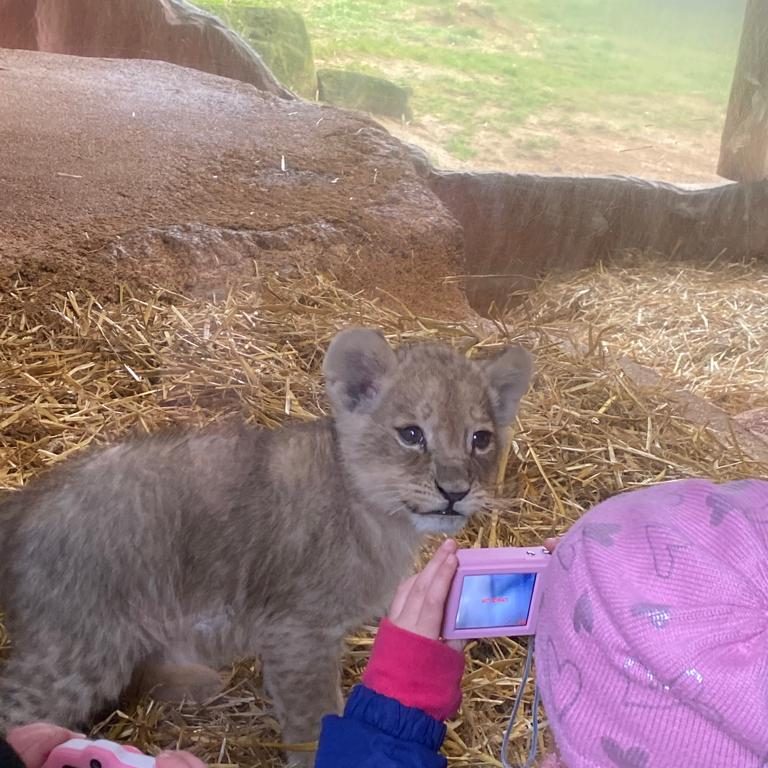 Keine Minute ohne Blitzlicht!