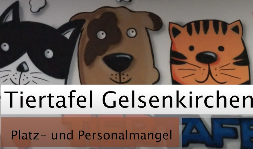 Große Probleme bei der Tiertafel Gelsenkirchen