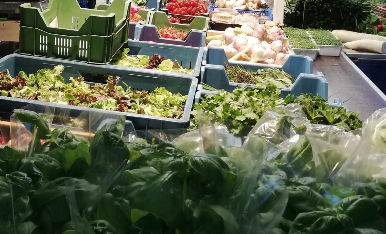 Die Vitamine erwachen