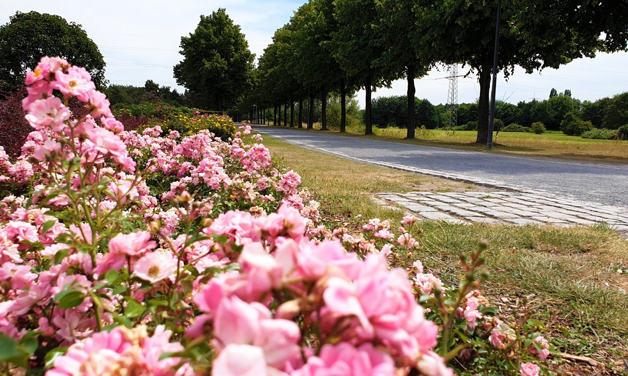 Hottest Tipps in Gelsenkirchen