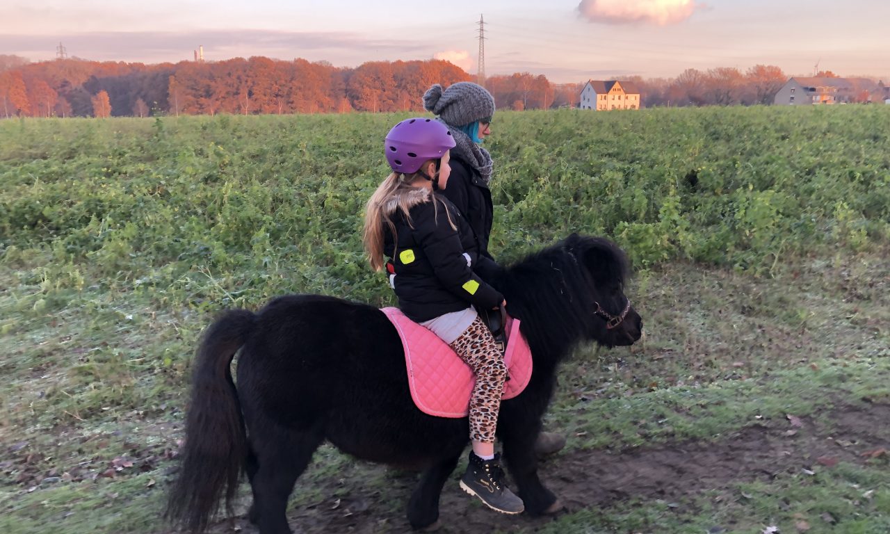 <strong>Helfer auf vier Hufen</strong>