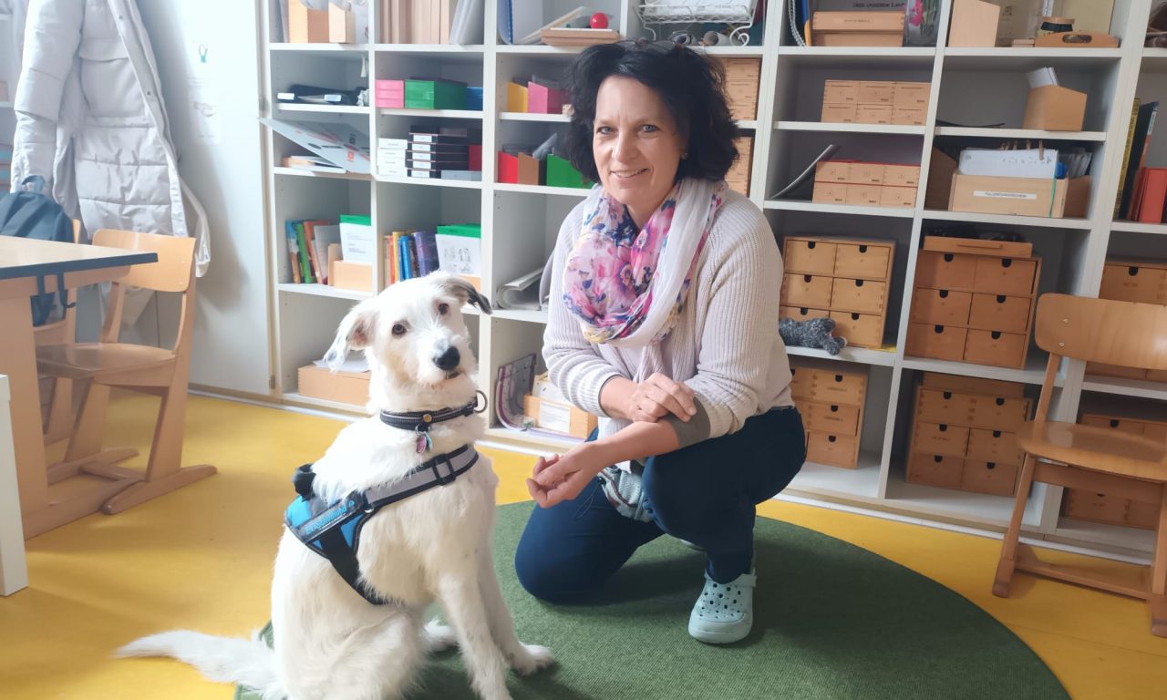 <strong>Pädagogik auf vier Pfoten</strong>