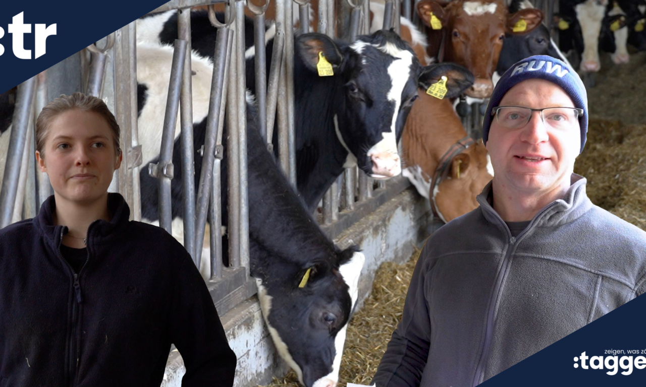 Munteres Treiben in Jülich | Milchhof Flatten