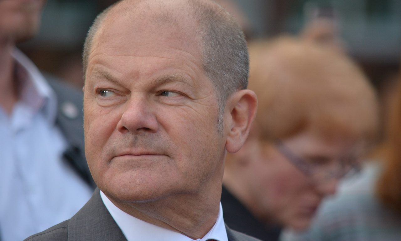 Neuwahlen – jetzt sofort!